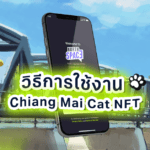 วิธีการใช้งาน Chiang Mai Cat NFT