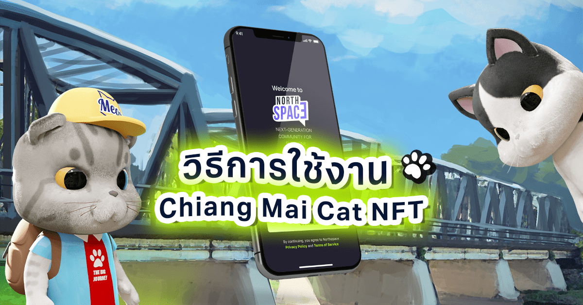 วิธีการใช้งาน Chiang Mai Cat NFT