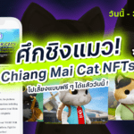 " FIGHT FOR CATS " น้องแมว Chiang Mai Cat NFTs