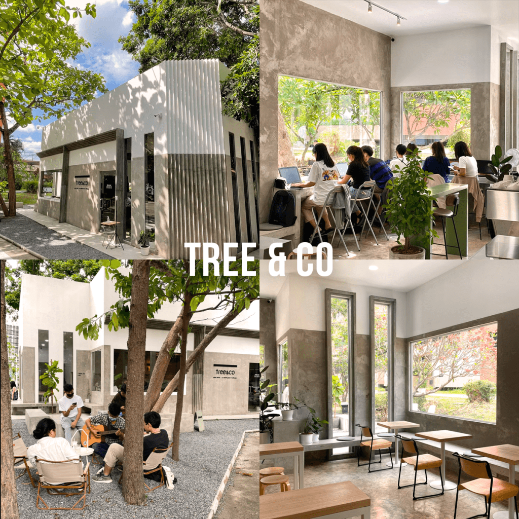 ร้านกาแฟ นั่งทำงาน เชียงใหม่
