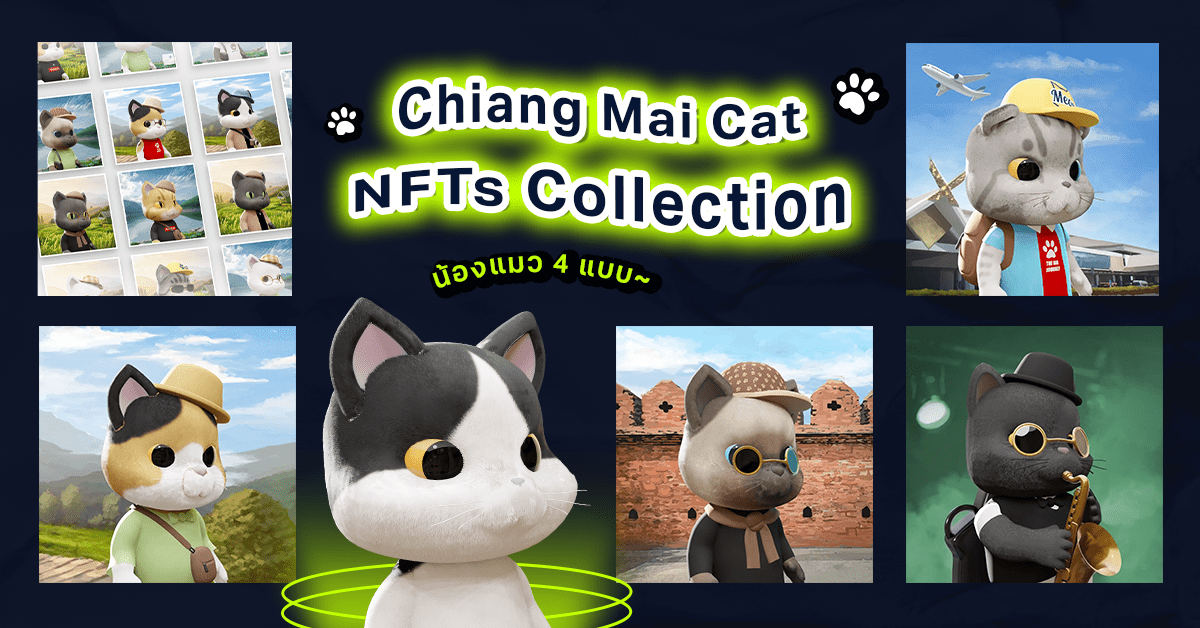Chiang Mai Cat NFTs Collection
